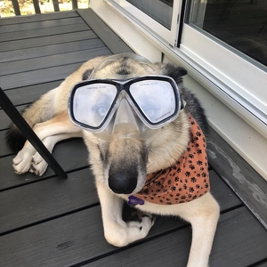 Team Page: Labossiere